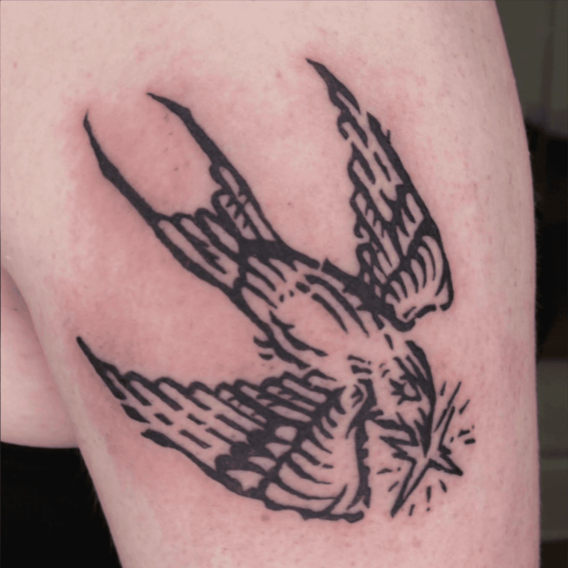 Diving swallow bird tattoo design